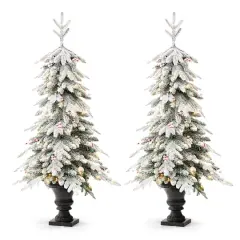 2 Pack 5ft. Pre-Lit Flocked Fir Artificial Christmas Porch Tree in Planter, Warm White Lights