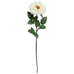 Orlane Rose Stem by Ashland&reg; White
