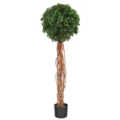 4.5ft. Potted English Ivy Ball Topiary Tree