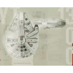 RoomMates Star Wars Millennium Falcon Prepasted Mural