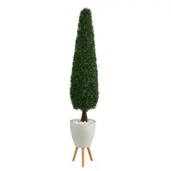 6ft. Boxwood Topiary in White Planter with Stand