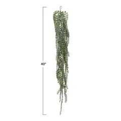 Hello Honey&reg; Hello Honey Green String of Pearls Plant