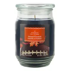 17oz. Fall Scented Jar Candle by Ashland&reg; Flannel & Football