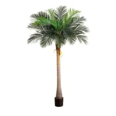 7ft. Potted Coconut Palm Tree