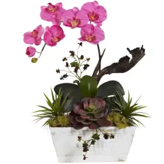 21" Dark Pink Orchid & Succulent Garden with Whitewashed Planter