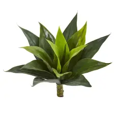 Agave Succulent Pick, 6ct.
