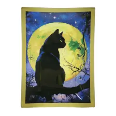4" x 6" Black Cat Glass Plate by Ashland&reg;