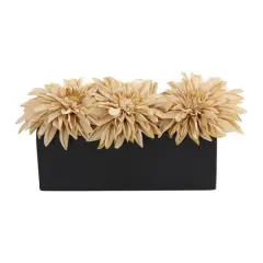 6" Cream Dahlia Arrangement in Black Planter