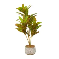 2.5ft. Potted Bohemian Banyan Tree Artificial Foliage