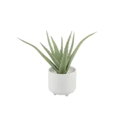 Flora Bunda&reg; 10" Aloe In 5" Barcode Footed Ceramic Pot