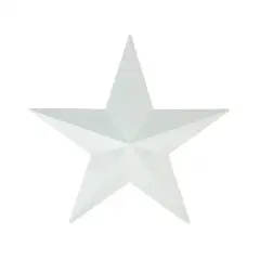 15" Matte White Country Rustic Star Indoor/Outdoor Wall Decoration
