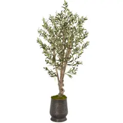 5ft. Olive Tree in Ribbed Metal Planter