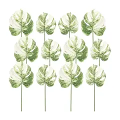 Light Variegated Philo Leaf Stems Set