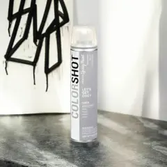 COLORSHOT&reg; Premium Satin Spray Paint Let's Get Cozy