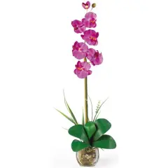 2.3ft. Fuchsia Orchid Arrangement with Vase