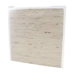 Storage Studios&reg; Paper Files, 3ct.