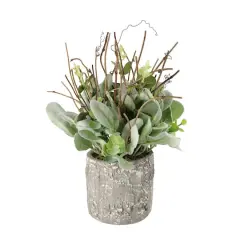 11" Lamb's Ear in Cement Pot