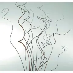 Curly Ting Stems, 10ct. Dark Brown