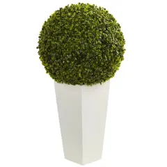 2.5ft. Boxwood Ball Topiary in White Tower Planter