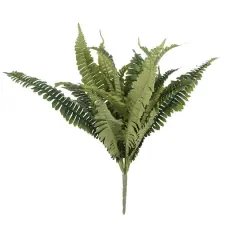 Boston Fern Bush Fern Collection by Ashland&reg;