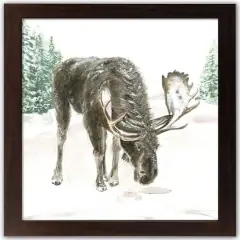 Winter Moose Walnut Framed Print Under Plexiglass