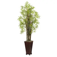 5.5ft. Grass Bamboo Plant in Decorative Planter
