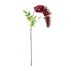 Burgundy Wisteria Stem by Ashland&reg;