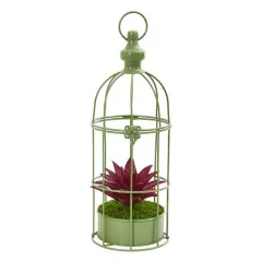 15" Succulent Plant in Decorative Cage