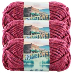3 Pack Lion Brand&reg; Hometown Variegates Yarn Phoenix Azalea