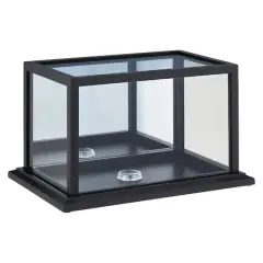 Black Football Display Case With Mirror Back by Studio D&eacute;cor&reg;