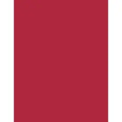 PA Paper&reg; 8.5" x 11" 65lb. Smooth Cardstock, 1,000 Sheets Red Devil