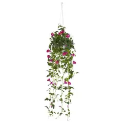 2.5ft. Purple Petunia Hanging Basket