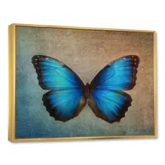 Designart - Blue Vintage Butterfly - Floral Art Framed Canvas Print Gold
