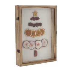 16" Dried Fruit Tree Shadow Box
