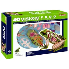 4D Vision&trade; Frog Anatomy Model