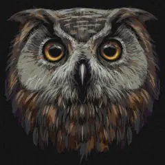 Ideyka Bird of Wisdom Painting by Numbers Kit