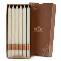 Root Candles Arista&trade; 12" Smooth Taper Candles, 12ct. Ivory