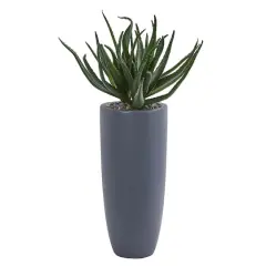 2.5ft. Aloe in Gray Planter