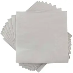 JAM Paper Small Beverage Napkins, 100ct. Silver