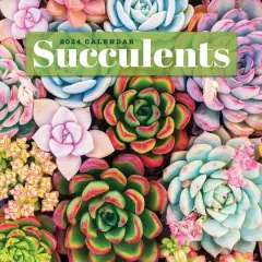 TF Publishing 2024 Succulents Wall Calendar