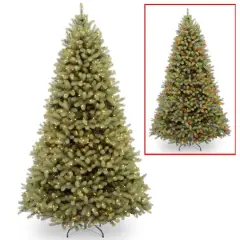 10ft. Pre-Lit Downswept Douglas&reg; Fir Tree, Dual Color LED Lights