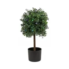 2ft. Boxwood Single Ball Topiary With Multi-Function LED Lights