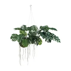 Hello Honey&reg; 51" Lush Green Hanging Monstera Kokedama