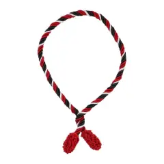 Haute Decor 16" Black, Red & White Decorative Twist Ties, 6ct.