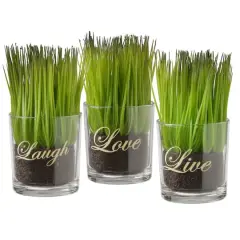 3-Piece Round Sprout-Filled Glass Assortment