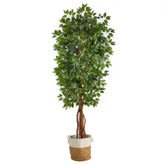 7.5ft. Artificial Deluxe Ficus Tree with Handmade Jute & Cotton Basket