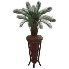 4ft. Cycas Tree in Decorative Stand