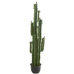 6.5ft. Potted Cactus Plant