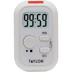 Taylor&reg; Flashing Light Timer