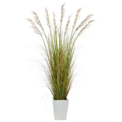 6ft. Grass Plant in White Metal Planter